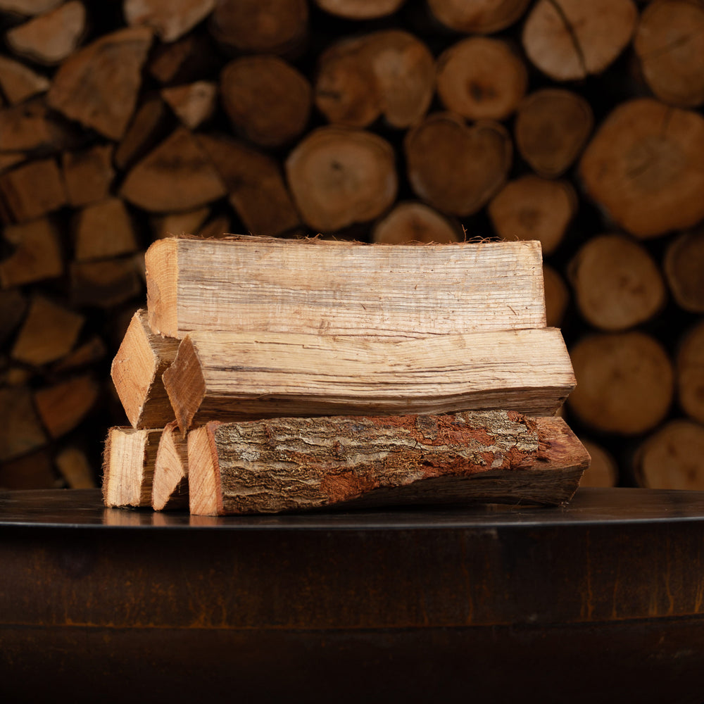 Best Firewood to Burn: High Heat, Long Burn, and Low Smoke Options